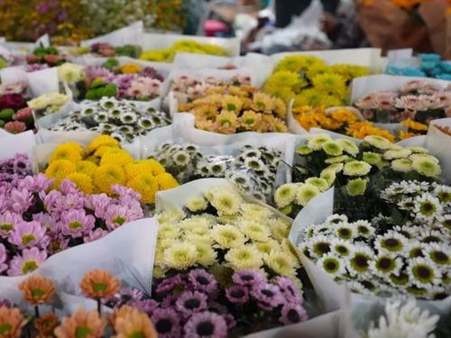 微信图片_20220719111728