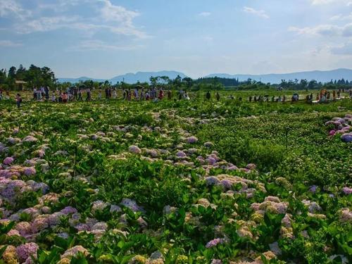 微信图片_20220719111750