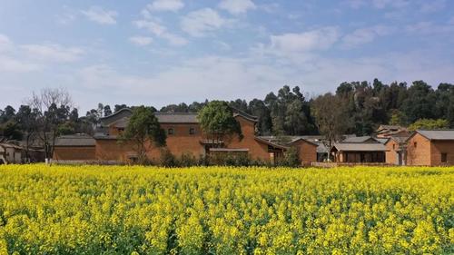 微信图片_20220719111753