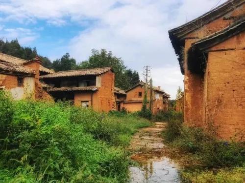 微信图片_20220719111758