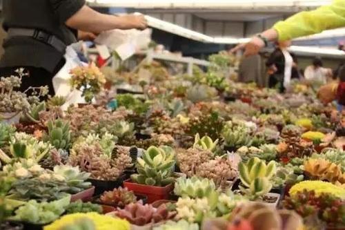 微信图片_20220720103539