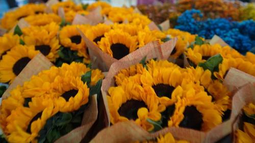 微信图片_20220720103601