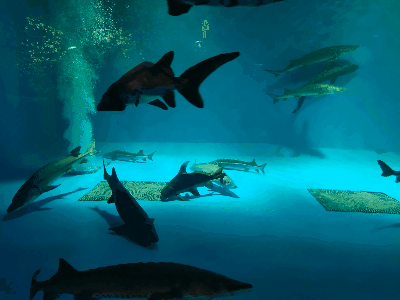 微信图片_20220720103620