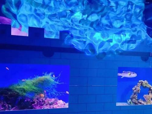 微信图片_20220720103628