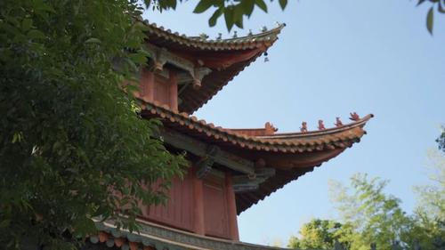 微信图片_20220726132813