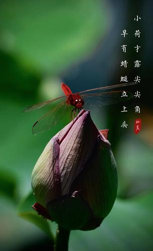微信图片_20220818163153