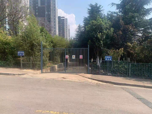 图片3