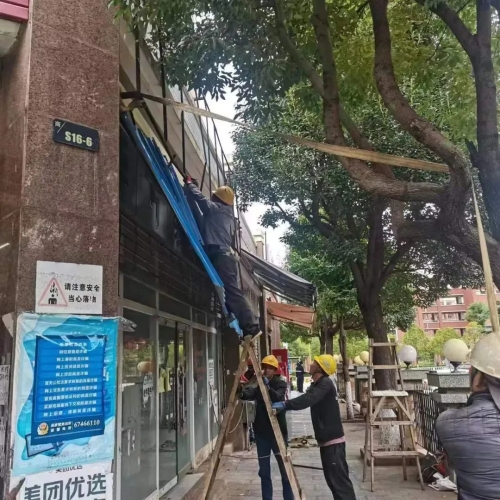 图片1