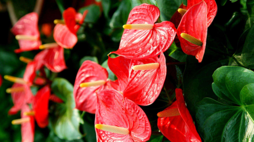 微信图片_20230116203712