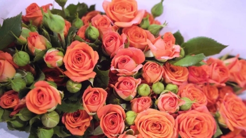 微信图片_20230116203714