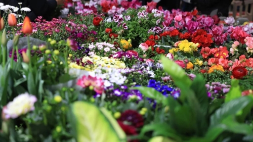 微信图片_20230116203716