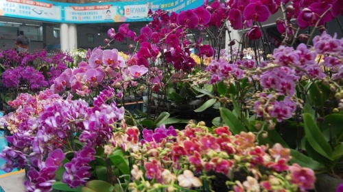 微信图片_20230116203718