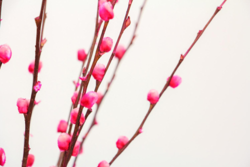 微信图片_20230116203722