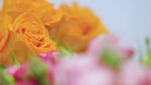 微信图片_20230116203724