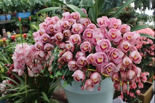 微信图片_20230116203727