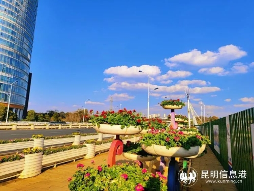 微信图片_20230117171845