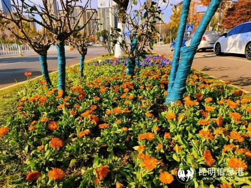 微信图片_20230117171849