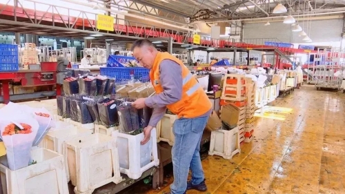 微信图片_20230118170514