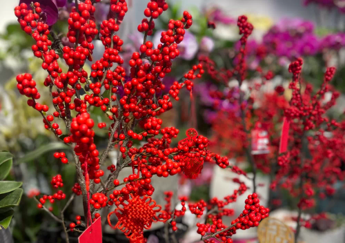 微信图片_20230118170519