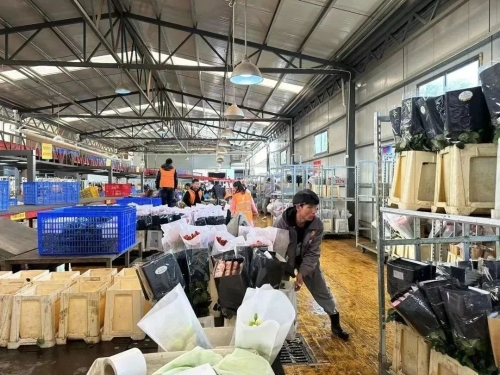 微信图片_20230118170522