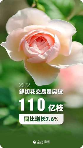 微信图片_20230129103210