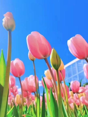 微信图片_20230206105030