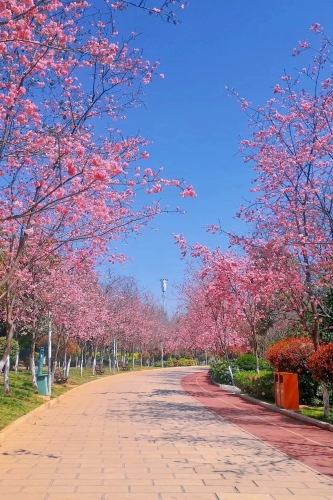 微信图片_20230206105049