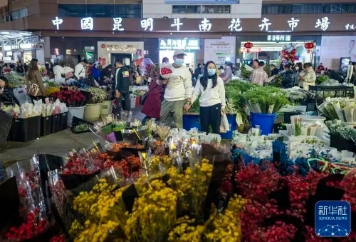 微信图片_20230213151843