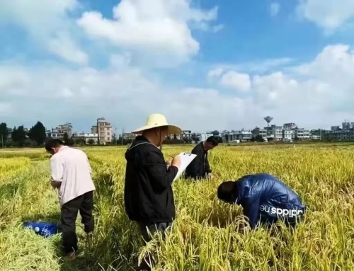 微信图片_20230316142005