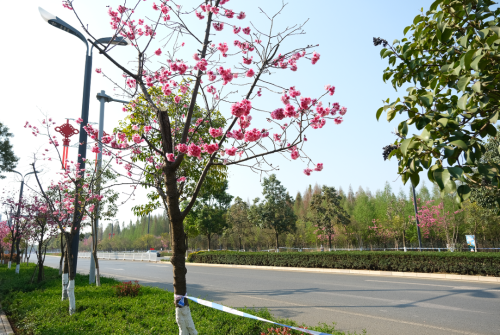 微信图片_20230327165028
