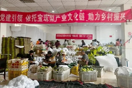 微信图片_20230417144316