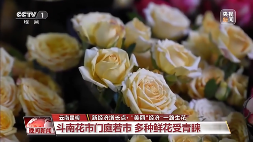 微信图片_20230504154123