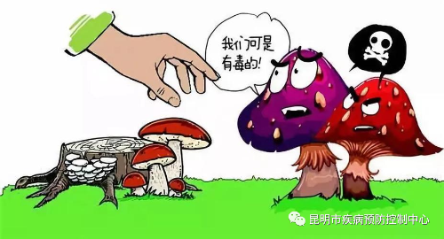 微信图片_1