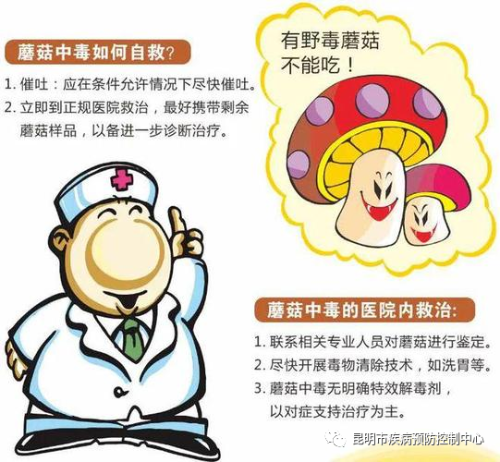 微信图片_4
