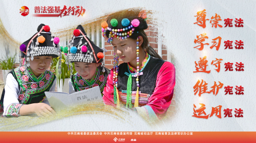 普法强基在行动_尊崇宪法 学习宪法 遵守宪法 维护宪法 运用宪法 (1)