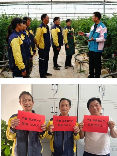 04图为昆阳张良花卉专业合作社开展内部评比活动