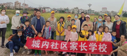 图片6