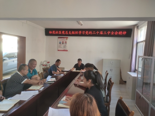 党总支书记领学