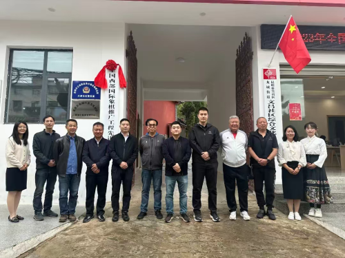 图片11