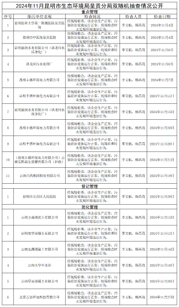 双随机、一公开（2024.11月）_Sheet1(1)