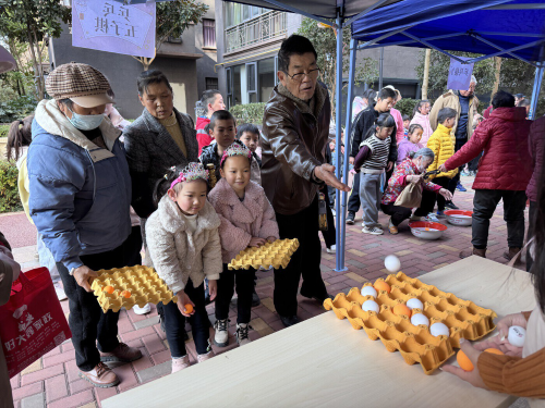 图片12