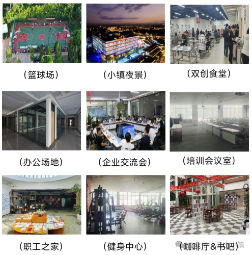 微信图片_20250217100902