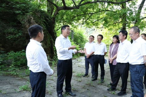 杨承新在大叠水景区调研。