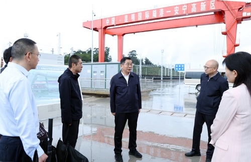杨承新在北港（大龙山）物流枢纽项目调研。_副本