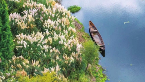 南滇池国家湿地公园 通讯员 何泼 赵贤 摄