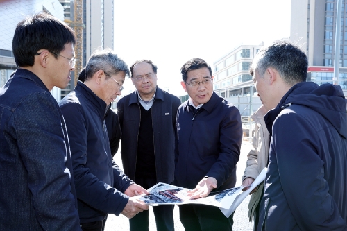 在巫家坝片区，杨承新详细了解片区道路互通互联、公园基础设施建设、河道绿化美化等情况。_副本