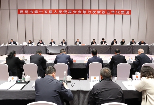 杨承新参加五华区代表团审议。记者杨玺摄