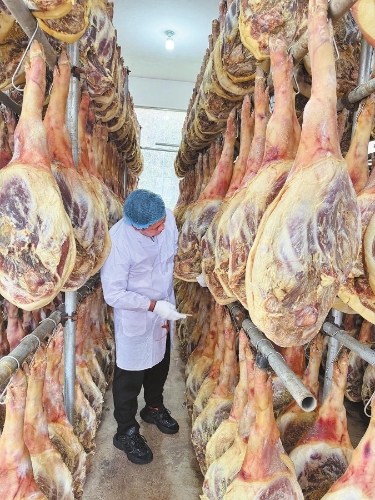 张学堂查看火腿。记者 王琼梅 摄