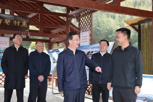 3月25日，王宁在嵩明县嵩阳街道东村社区，调研旅居旅创、管好用活农村集体“三资”等情况。