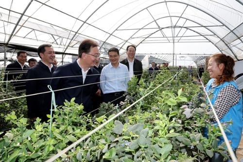 3月26日，王宁在东川区汤丹镇中毓现代农业种植公司基地，了解创新治理尾矿库、干热河谷现代农业发展等情况。